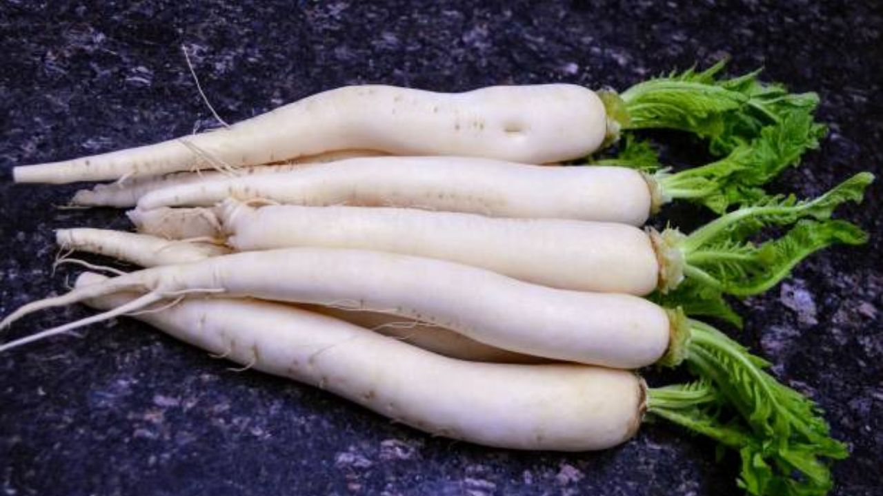 पित्ताशयात खड्डे झाल्यास मुळा खाऊ नये. यामुळे पित्त स्त्राव वाढतो. वाढत्या स्रावामुळे वेदना वाढू शकतात. त्यामुळे मुळ्याचे सेवन अतिप्रमाणात करू नये.