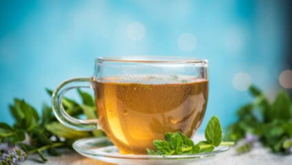 Green Tea पिऊन कंटाळा आला असेल तर ‘या’ रिफ्रेशिंग पेयांनी करा दिवसाची आनंदी सुरुवात, शरीराला होतील फायदे