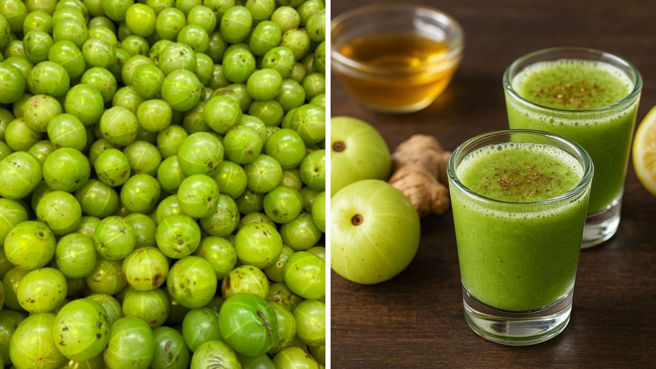 Amla Juice: निरोगी राहण्यासाठी नियमित प्या आवळ्याचा रस, त्वचा केसांसह शरीराला होतील भरमसाट फायदे