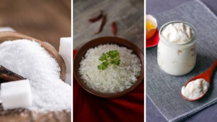 ‘White Poison’ मानले जाणारे ‘हे’ पदार्थ शरीरात वाढवतात मधुमेह – लठ्ठपणा, भारतीयांच्या ताटातील आवडते पांढरेशुभ्र पदार्थ