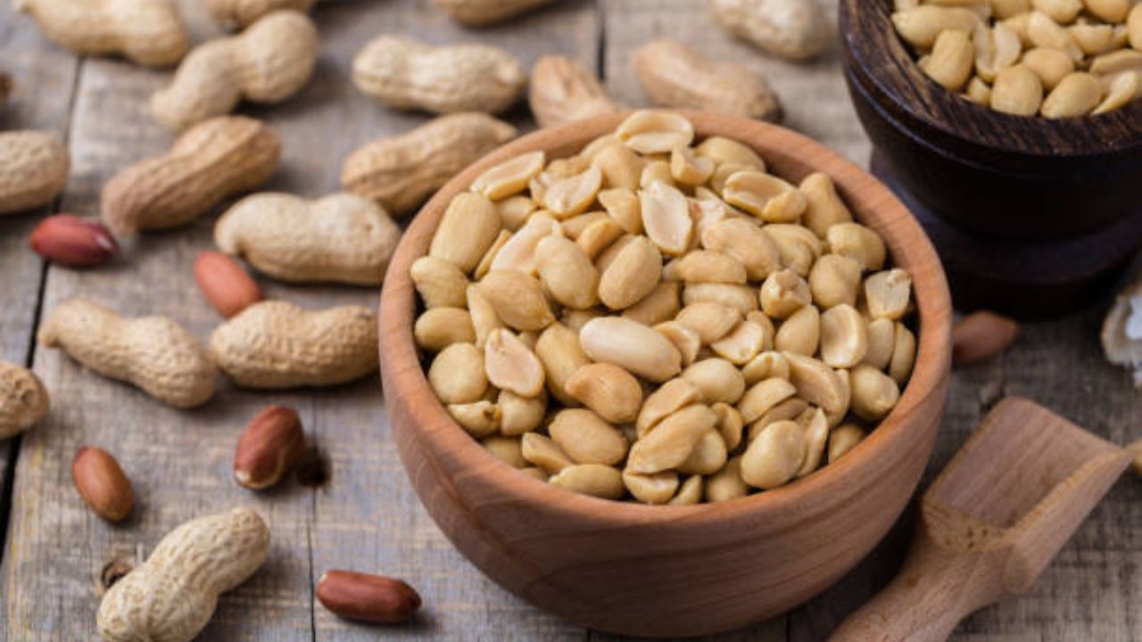 हिवाळ्यात नियमित करा सुपरफूड मानल्या जाणाऱ्या शेंगदाण्याचे सेवन,शरीरात कधीच भासणार नाही रक्ताची कमतरता