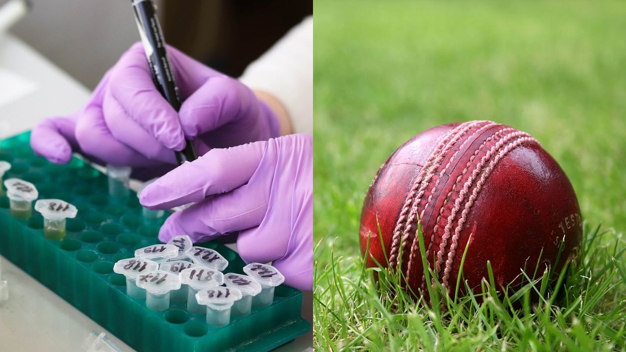 SMAT-2025 खेळणारी क्रिकेटपटू डोप टेस्टमध्ये अपयशी, महिला खेळाडूवर डोपिंगमुळे 8 वर्षांची बंदी