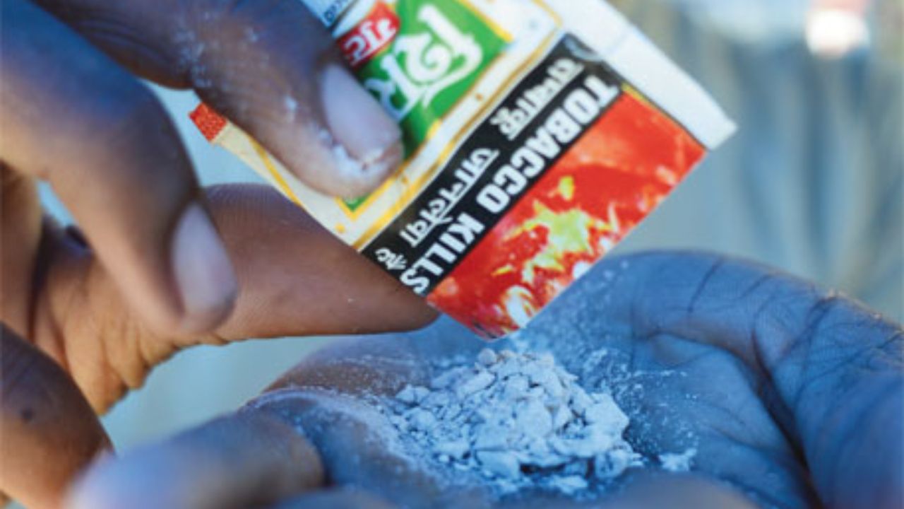 भारतात शिक्षणापेक्षा गुटख्यावर अधिक खर्च! सरकारी सर्वेक्षणातील वास्तव; तंबाखूजन्य पदार्थांच्या विक्रीत मोठी वाढ