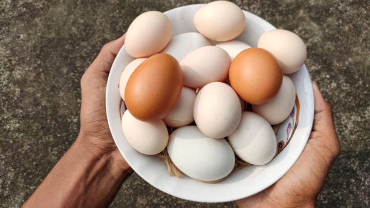 सकाळच्या नाश्त्यात नियमित दोन अंडी खावी. अंडी खाल्ल्यामुळे शरीराला भरपूर पोषण मिळते आणि हाडांना सुद्धा अनेक फायदे होतात. 