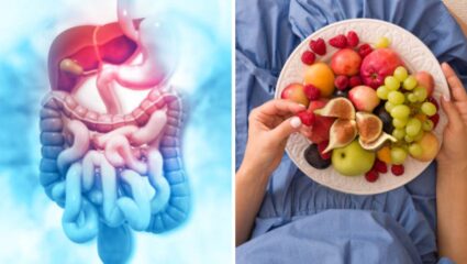 आतड्यांमध्ये चिकटलेला विषारी मल झटक्यात बाहेर पडून जाईल बाहेर! रोज सकाळी नियमित खा ‘ही’ फळे, पोट होईल स्वच्छ