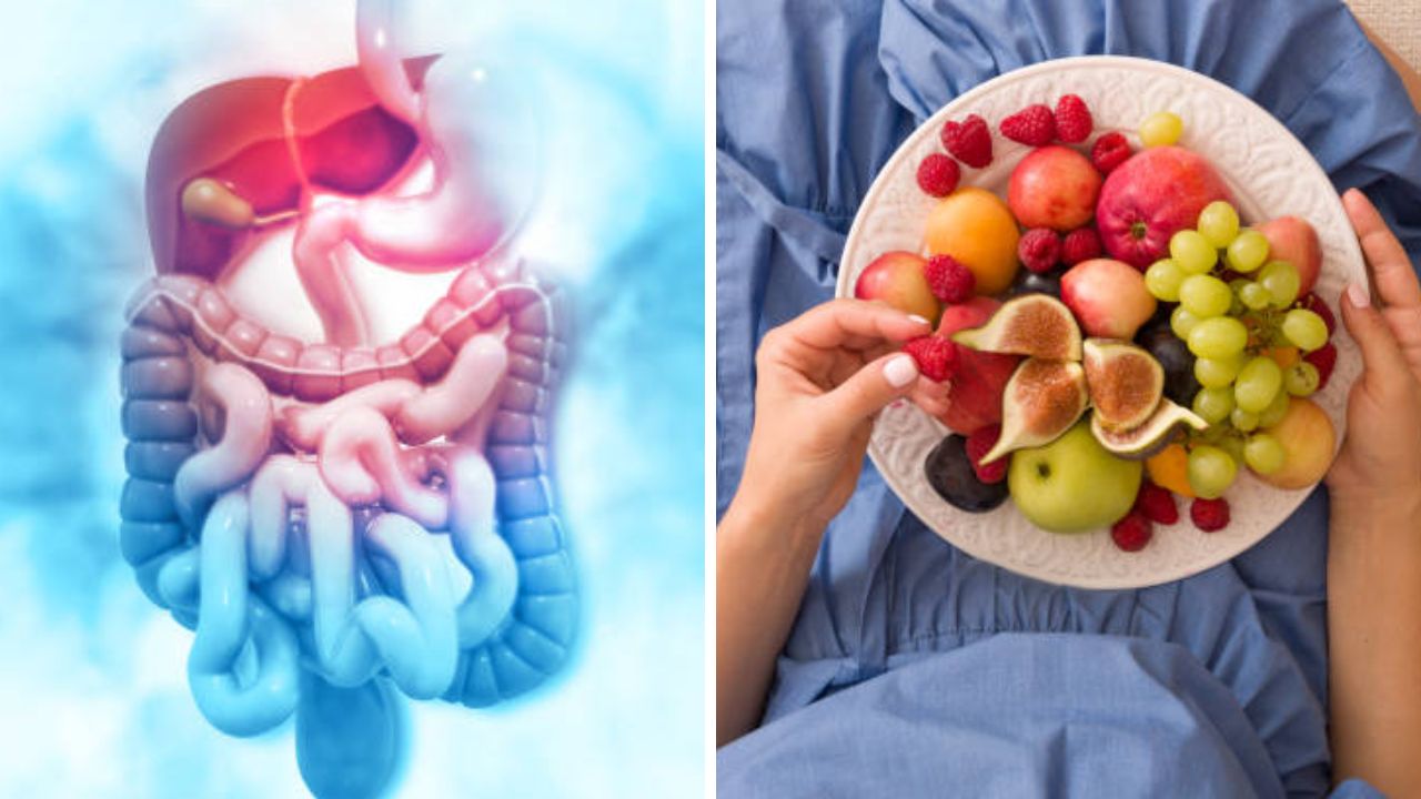 आतड्यांमध्ये चिकटलेला विषारी मल झटक्यात बाहेर पडून जाईल बाहेर! रोज सकाळी नियमित खा ‘ही’ फळे, पोट होईल स्वच्छ