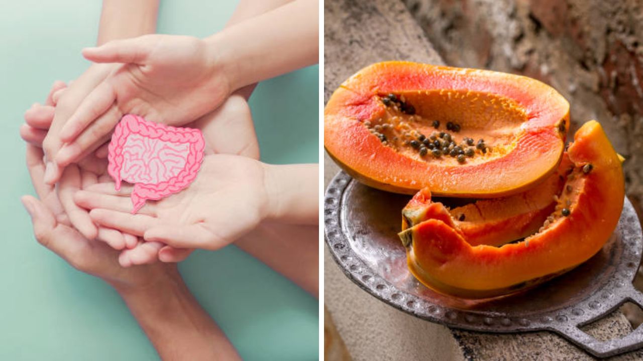 आतड्यांमध्ये जमा झालेला विषारी घटक एका झटक्यात पडून जातील बाहेर! नियमित करा ‘या’ फळाचे सेवन, त्वचेला होतील फायदे
