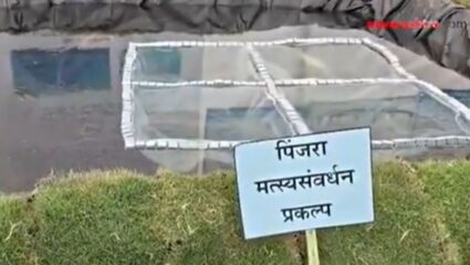 Wardha : जिल्हास्तरीय कृषी प्रदर्शनात शेतकऱ्यांना आधुनिक तंत्रज्ञानाचे मार्गदर्शन