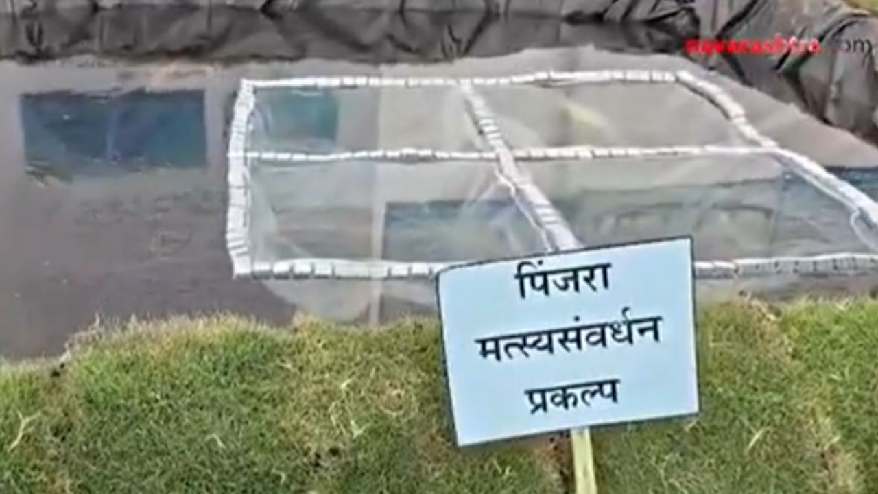 Wardha : जिल्हास्तरीय कृषी प्रदर्शनात शेतकऱ्यांना आधुनिक तंत्रज्ञानाचे मार्गदर्शन
