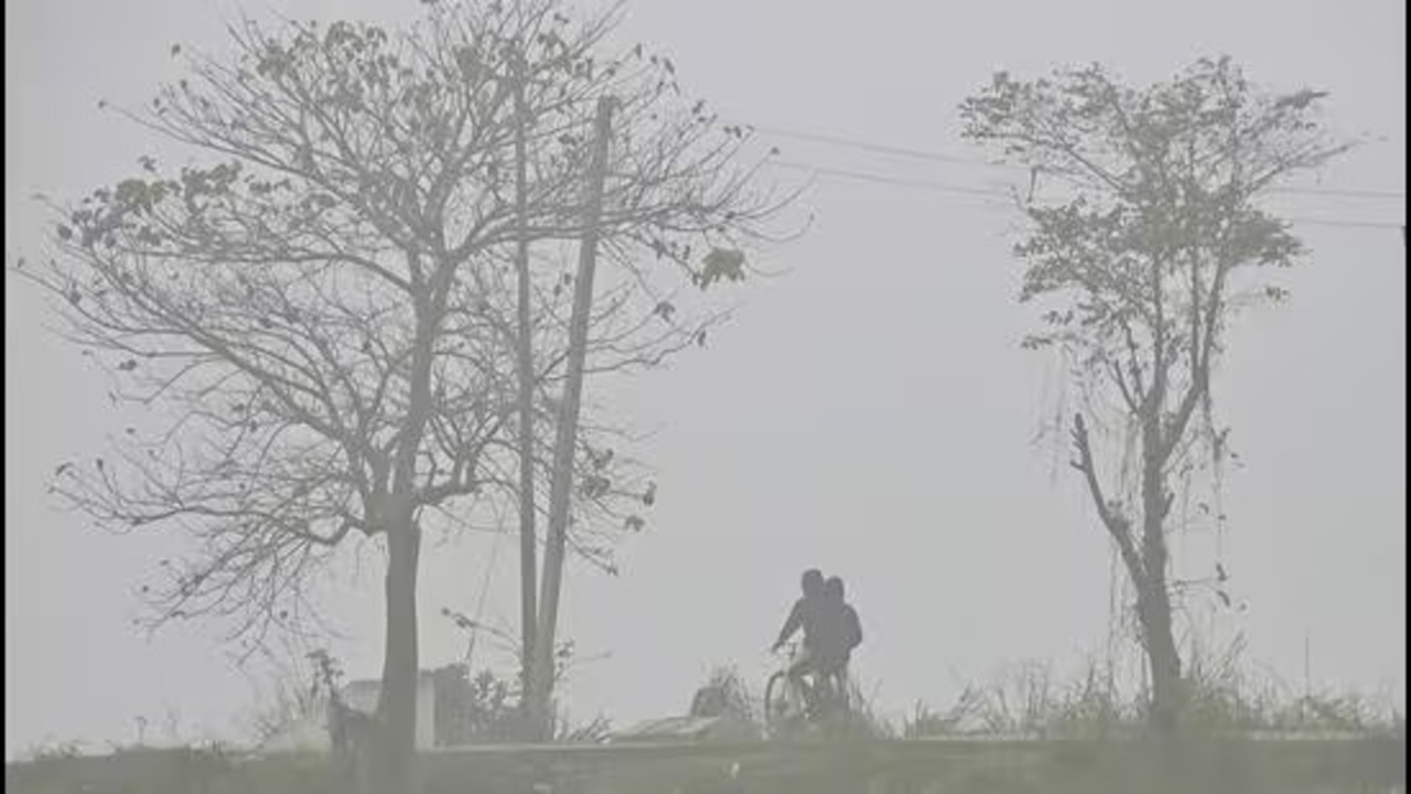 Maharashtra Weather : हवामान बदलणार! राज्यात थंडीचा जोर कमी, कसा होणार परिणाम? जाणून घ्या सविस्तर अपडेट