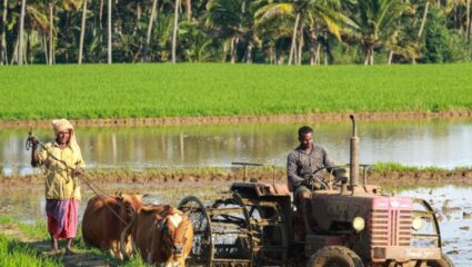 Budget 2026 :  यंदाच्या बजेटमध्ये शेतकऱ्यांसाठी सरकारचं धोरणं काय असू शकतं ?