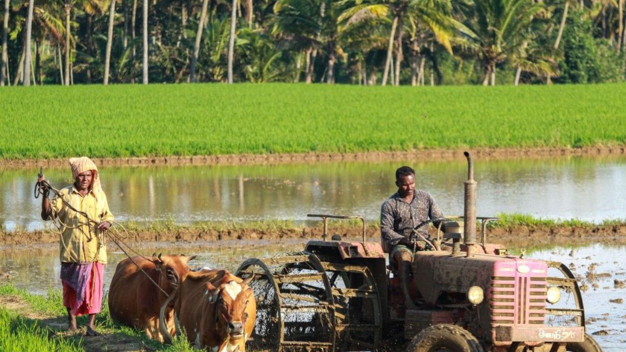 Budget 2026 :  यंदाच्या बजेटमध्ये शेतकऱ्यांसाठी सरकारचं धोरणं काय असू शकतं ?
