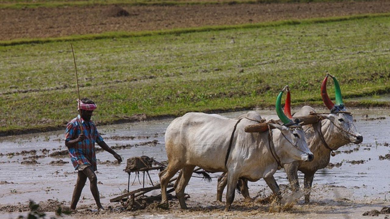 अर्थसंकल्पाचा थोडक्यात आढावा पाहता 2013 ते 14 या वर्षात 21,933 कोटी रुपयांवरून आता 1.27 लाख कोटी रुपयांवर पोहोचला आहे.  