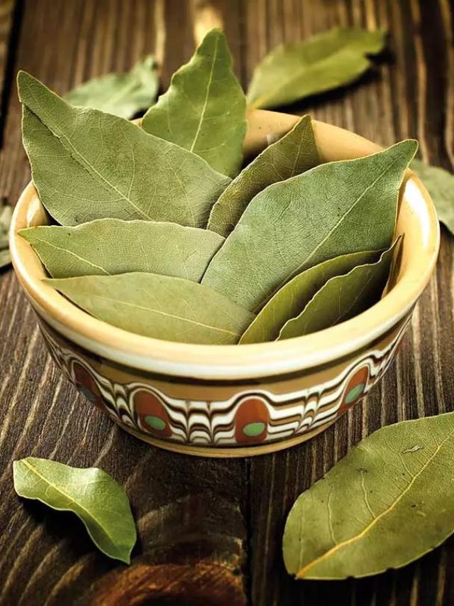 घरातील कामापासून त्वचेपर्यंत असा करा तमालपत्राचा वापर