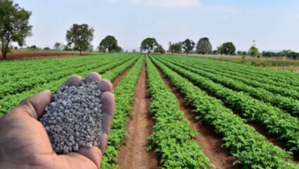 Ahilyangar News: शेतकरी पुन्हा अडचणीत! रासायनिक खतांच्या किमतीत मोठी वाढ