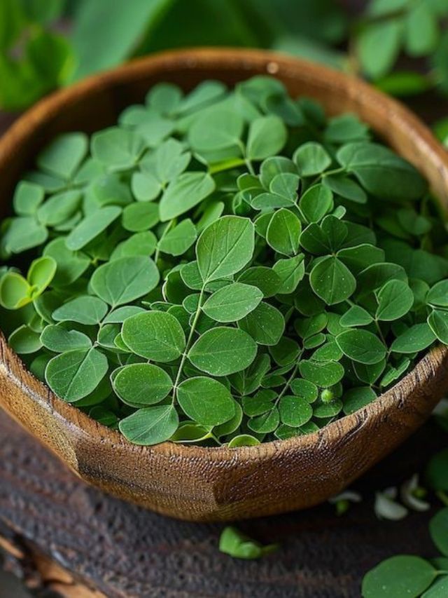 या व्यक्तींनी मोरिंगाची भाजी खाऊ नये..