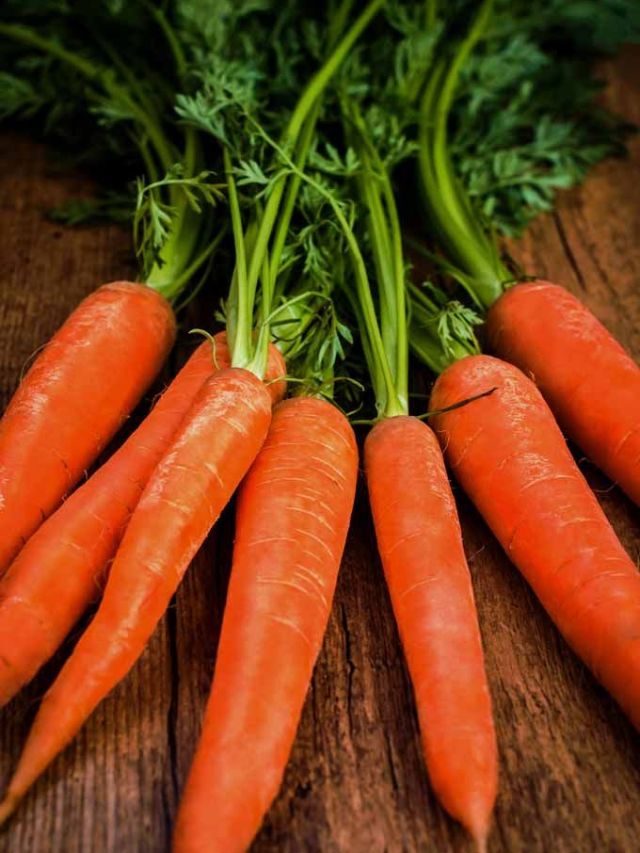 गाजर खाल्ल्याने या समस्या दूर राहतील