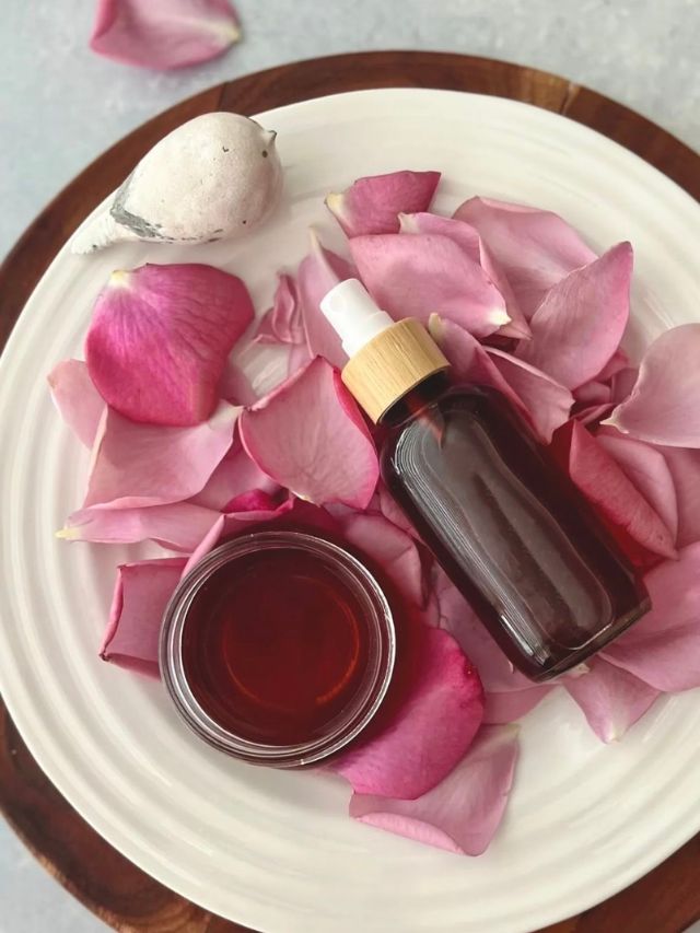 रोज चेहऱ्याला गुलाब पाणी लावा, पिंपल्सपासून सुटका