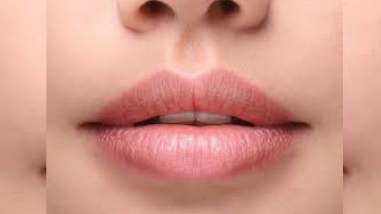 नाक आणि ओठांच्यामध्ये असलेल्या अवयवाला काय म्हणतात? याचा नेमका उपयोग काय ?