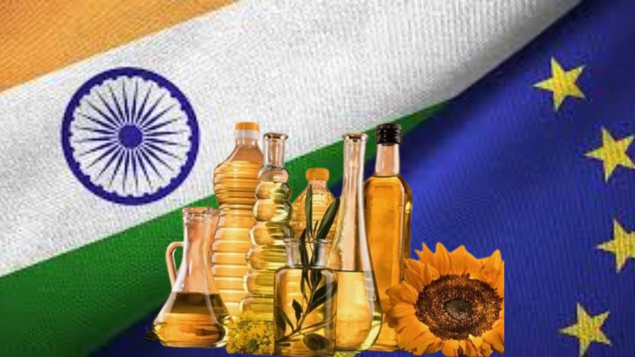 India EU Free Trade: भारत–EU FTA चा फायदा; ऑलिव्ह ऑइल व वनस्पती तेलांच्या किमतीत झाली मोठी घट