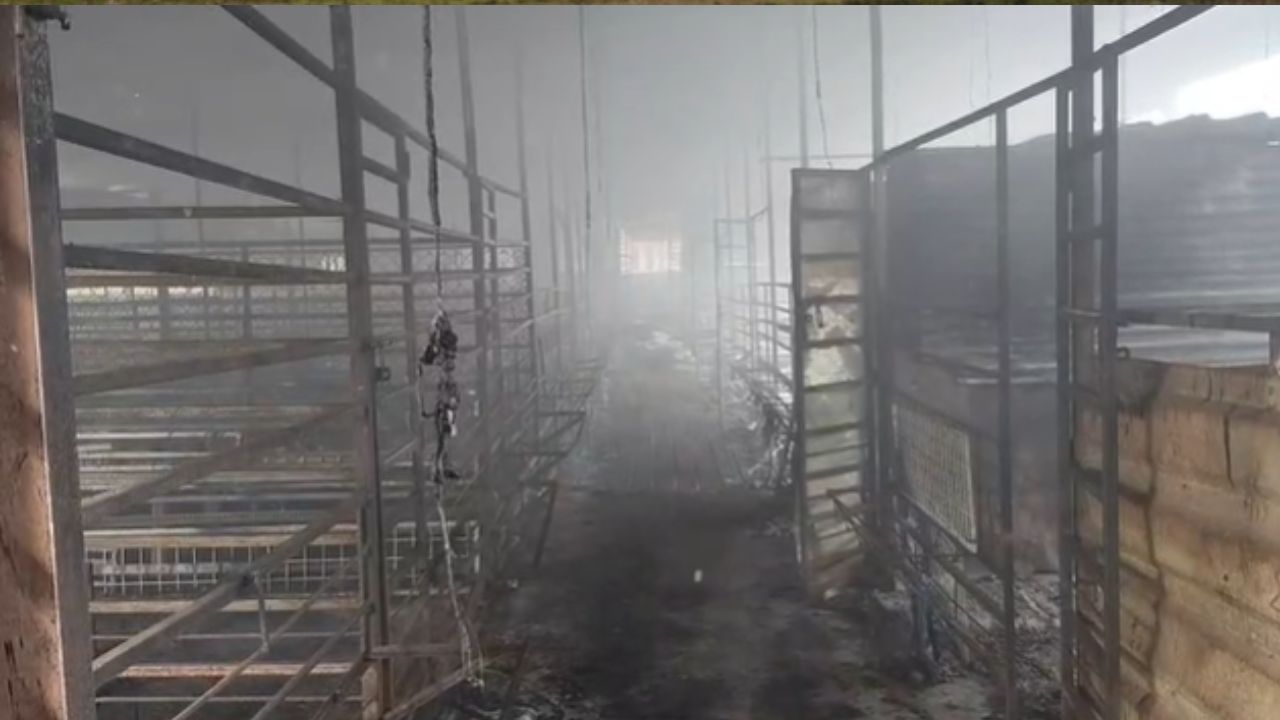 Karjat News : बकरी फार्मला भीषण आग; 400 बकऱ्या मृत आणि 350 कबुतरांचा होरपळून मृत्यू