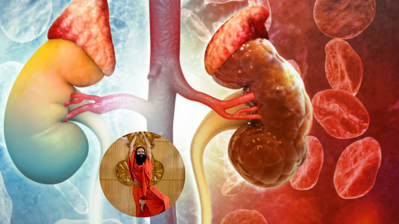 ‘आयुष्यात कधीच खराब होणार नाही Kidney’, Ramdev Baba चा दावा, 4 पदार्थ शोषून काढतील विषारी पदार्थ; परफेक्ट देशी उपाय