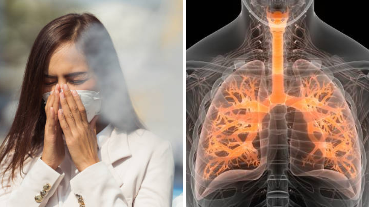 Explainer: हवेतील प्रदूषण वाढले, फुफ्फुसे देत आहेत गंभीर इशारा, शहरात श्वास घेणे झाले कठीण; तज्ज्ञांनी केले जागरूक