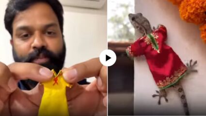 भावाच्या क्रिएटिव्हिटीला सलाम! माणसांसाठी नव्हे पालीसाठी बनवली कुर्ती;  फॅशनेबल पाल पाहून नेटकरी हसून लोटपोट, Video Viral