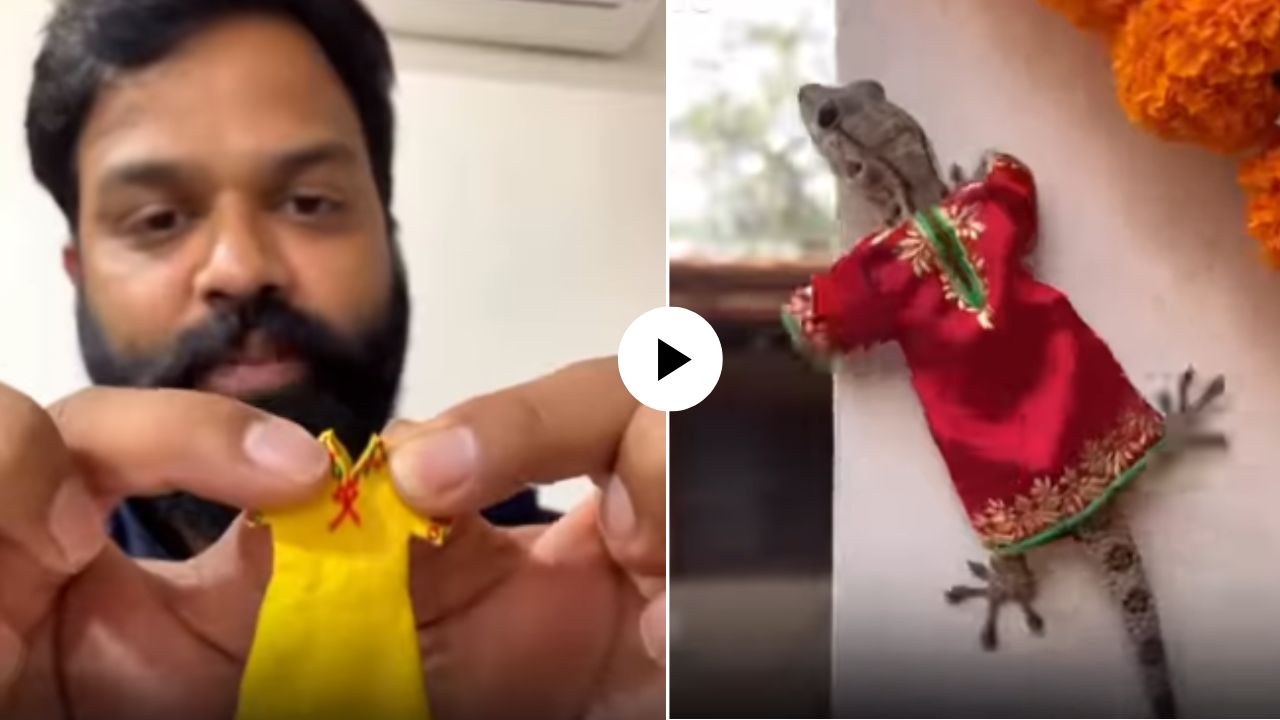 भावाच्या क्रिएटिव्हिटीला सलाम! माणसांसाठी नव्हे पालीसाठी बनवली कुर्ती;  फॅशनेबल पाल पाहून नेटकरी हसून लोटपोट, Video Viral