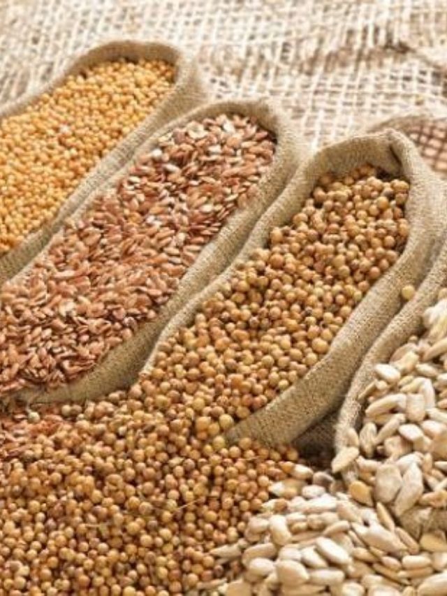 बाजरीपासून बनवल्या जाणाऱ्या या गोष्टी शरीरासाठी असतात फायदेशीर