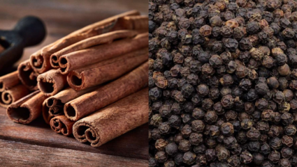 आता मसालेदार खाणे आरोग्यसाठी फायद्याचे! फक्त कोणते आहेत ते मसाले? जाणून घ्या