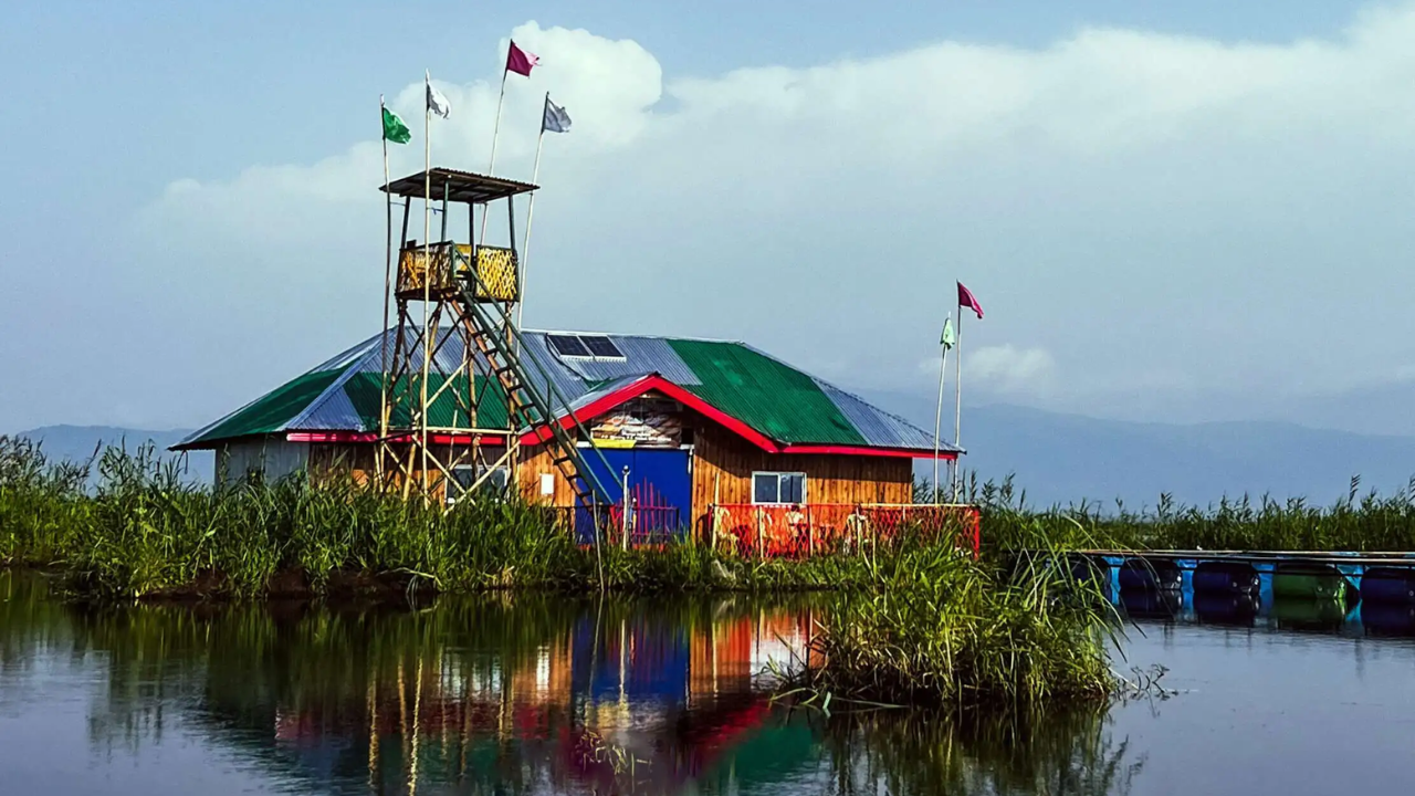 हे थर वर्षानुवर्षे एकमेकांत गुंफले गेल्यामुळे इतके मजबूत होतात की त्यावर माणसे सहज चालू शकतात आणि घरेही बांधू शकतात. हे जमिनीचे तुकडे पाण्यावर तरंगत असतात आणि वाऱ्याच्या दिशेनुसार आपली जागाही बदलतात.