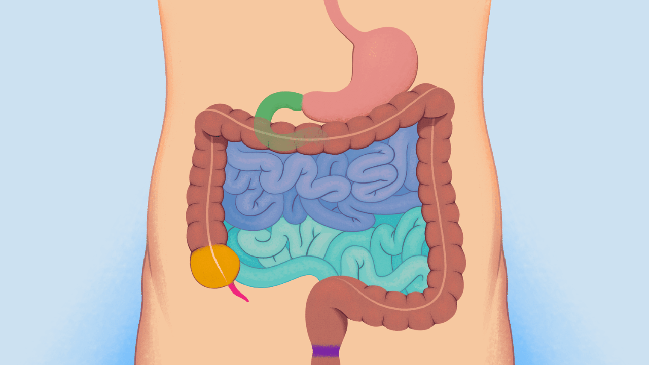 सकाळचा नाश्ता ठरवतो तुमचा संपूर्ण दिवस; थकवा व पचनाच्या समस्यांपासून सुटका देणारे 4 सुपरफूड्स