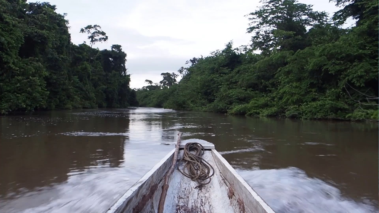 माणूस मंगळावर पोहचला पण पृथ्वीवरच्या ‘या’ भागात जायला थरथरतो पाय! अशी जागा जिथे एकही मानव नाही