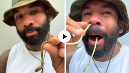 हा कसला स्टंट! सापाला नाकात घालून तोंडातून बाहेर काढले, दृश्य पाहून सर्वांचेच होश उडाले; धक्कादायक Video Viral