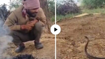 थंडीत शेकोटीजवळ बसून व्यक्तीने नागाला शिकवल्या चार समजुतीच्या गोष्टी… अनोखं संभाषण पाहून युजर्सना आलं हसू; मजेदार Video Viral