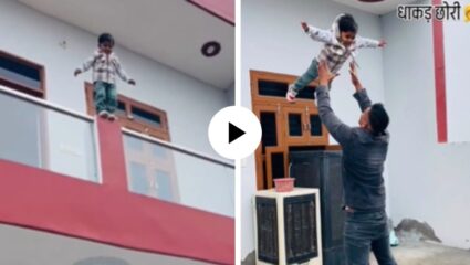 भीती नाही, कारण बाबा आहे! वडिलांवर विश्वास ठेवून 2 वर्षांच्या चिमुकल्याने छतावरून मारली उडी, मग पुढे जे घडलं… Video Viral