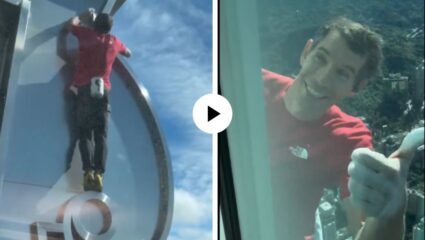 भावाला मृत्यूचेही भय नाही! विना सेफ्टी 101 मजली इमारत चढून केला विक्रमी स्टंट; पाहून युजर्सचे हातपाय थरथरले; Video Viral