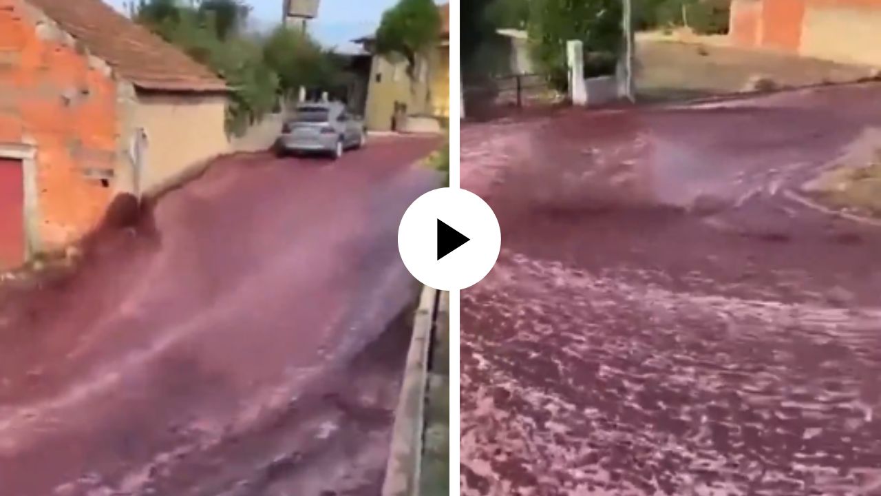 दारूची नदी! पुर्तगालच्या रस्त्यावर वाहून गेली 22 लाख लीटरची रेड वाईन, लालभडक झाला रास्ता अन् घटनेचा Video Viral