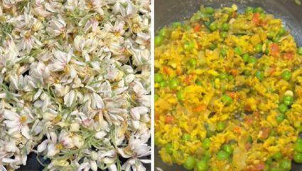 हिवाळ्यात आरोग्यदायी… वात, डोकेदुखी, सांधेदुखी कमी करणारी पौष्टिक शेवग्याच्या पानांची भाजी; चवीलाही लागते मजेदार