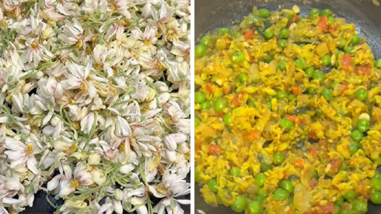 हिवाळ्यात आरोग्यदायी… वात, डोकेदुखी, सांधेदुखी कमी करणारी पौष्टिक शेवग्याच्या पानांची भाजी; चवीलाही लागते मजेदार