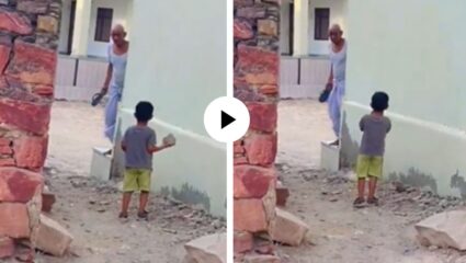 चप्पल VS दगड! आजोबा आणि नातवामध्ये सुरु झालं अनोखं महाभारत, अखेर विजय झाला कुणाचा? पहा Viral Video