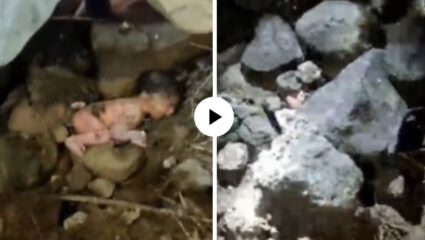 काळजाचा थरकाप! नवजात मुलाला आई-वडिलांना दगडांमध्ये जिवंत गाढलं, लोकांनी रडण्याचा आवाज ऐकताच बाहेर काढलं अन्… Video Viral