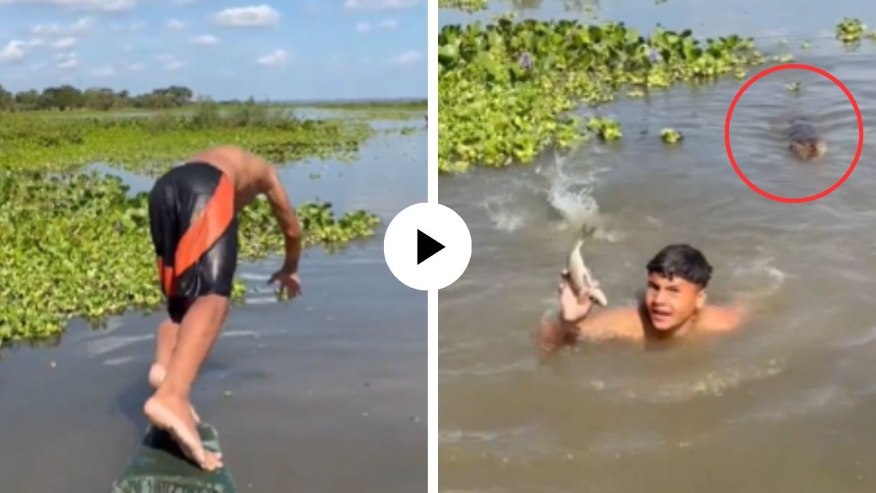 मस्ती मस्तीत संकट ओढावलं! तलावात उडी मारताच पाण्याच्या राक्षसाने घेतली जबरदस्त एंट्री, तो पळाला पण शेवटी जे घडलं… Video Viral