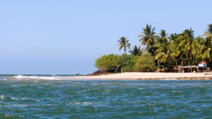 कोकोनट आयलंड कुठे आहे माहिती आहे का? निसर्गाने नटलेल्या या ठिकाणाला नक्की भेट द्या