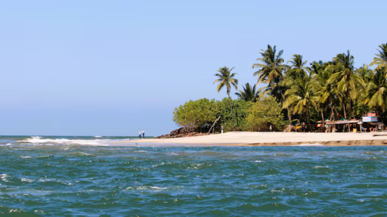 कोकोनट आयलंड कुठे आहे माहिती आहे का? निसर्गाने नटलेल्या या ठिकाणाला नक्की भेट द्या