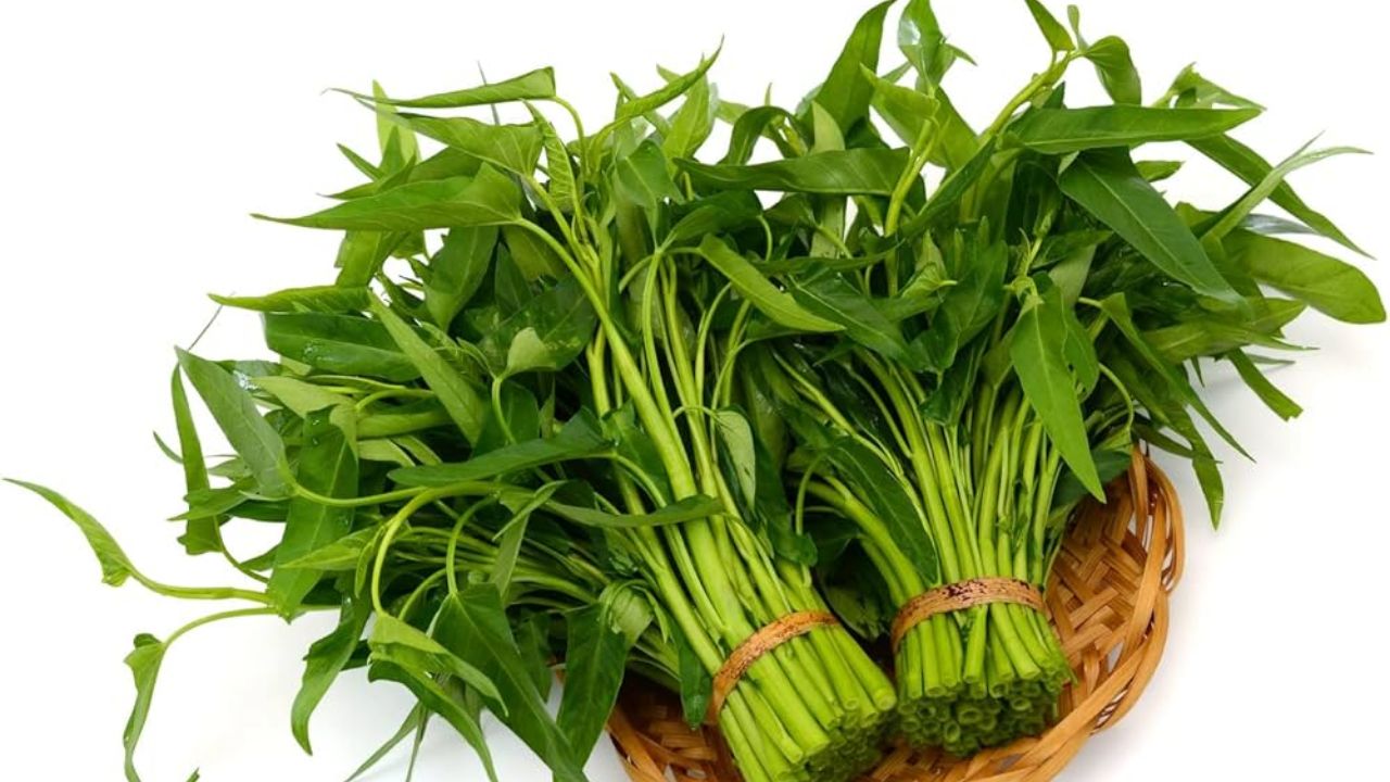 60 व्या वर्षीही टिकून राहील 25 सारखी ताकद! पुरुषांसाठी फायदेशीर ठरते ही भाजी; नियमित सेवन स्टॅमिना करते दुप्पट