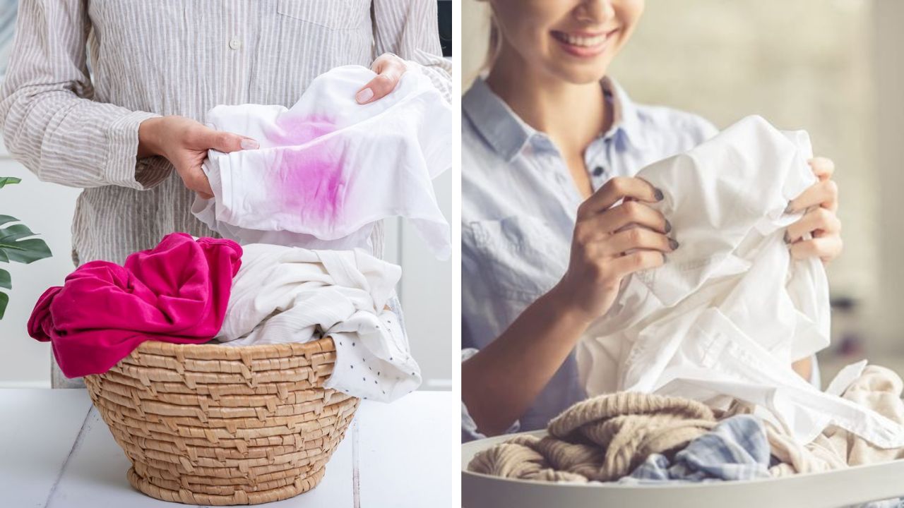 सफेद कपड्यांवरील डाग दूर करण्यासाठी या 6 घरगुती ट्रिक्सचा वापर करा; शून्य रुपयांत हट्टी डाग होतील छूमंतर