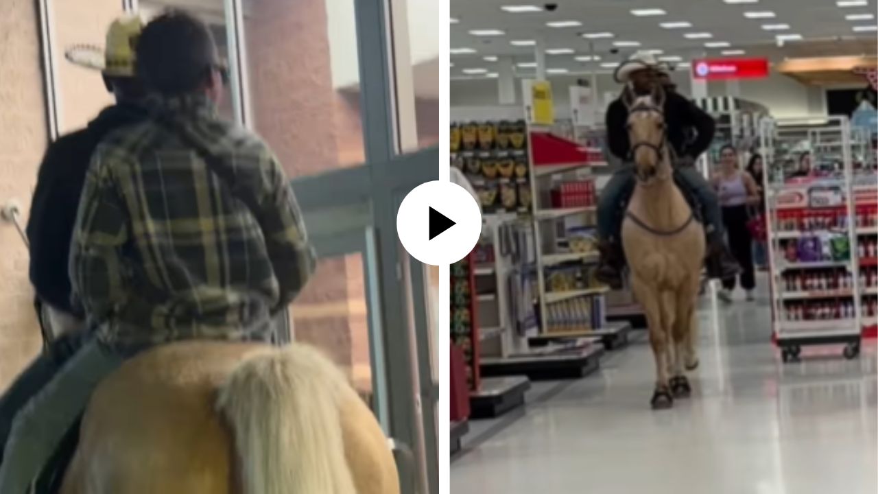 घोड्याची इच्छा राखली, मालकाने थेट प्राण्यासह मॉलमध्ये घेतली जबरदस्त एंट्री; मग पुढे जे घडलं… Video Viral