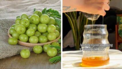 केसगळती थांबवण्यासाठी पैसे खर्च करण्याची गरज नाही, अशाप्रकारे घरीच तयार करा ‘आवळ्याचं तेल’; एकदाच बनवा आणि 2 महिने वापरा